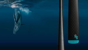 Kalleq in Bluefin